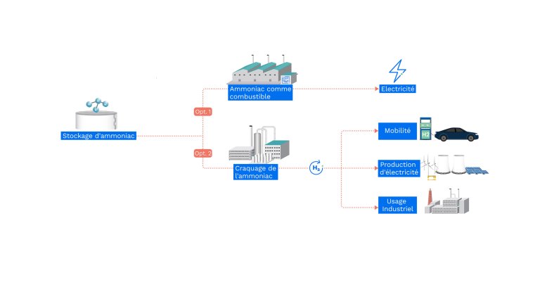 Low-Carbon Ammonia Infography