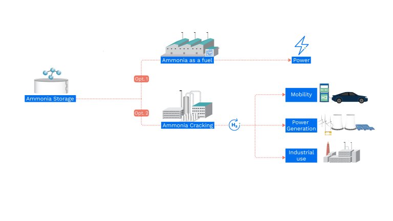 Low-Carbon Ammonia Infography