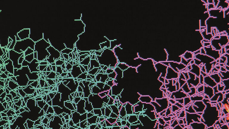 Biocatalysts (immobilized enzymes)