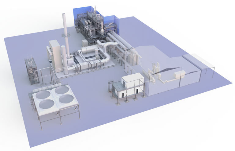 plant-nerea-3D