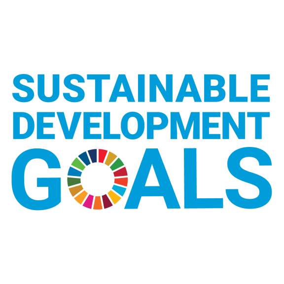 Sustainable development goals logo