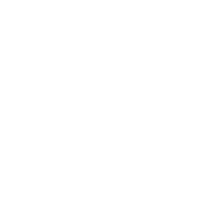 White icon representing a rocket flying high