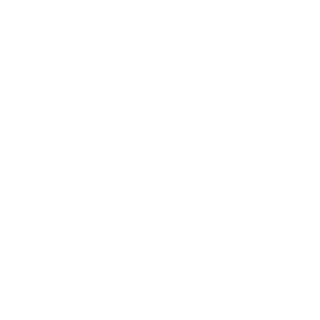 White icon showing a position pin on Earth