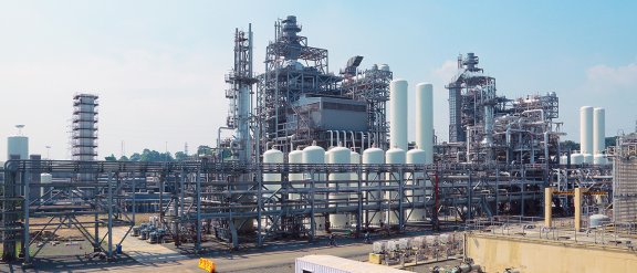 Decorative image for Low Carbon Hydrogen (picture of a plant)