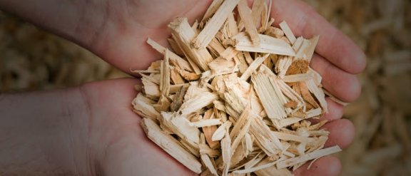 Une personne tenant une poignée de copeaux de bois, mettant en valeur la technologie FPBO