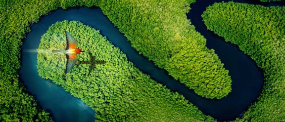 Bird casting the shadow of an airplane flying above a forest, representing clean flight thanks to SAF