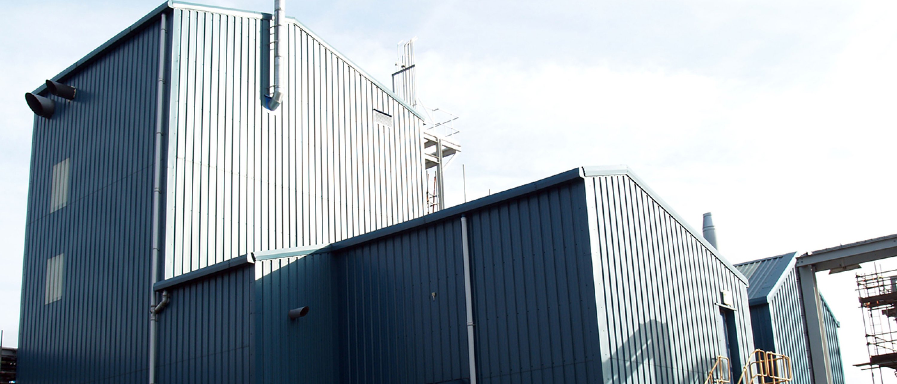 TEN2021_Banner_Hummingbird