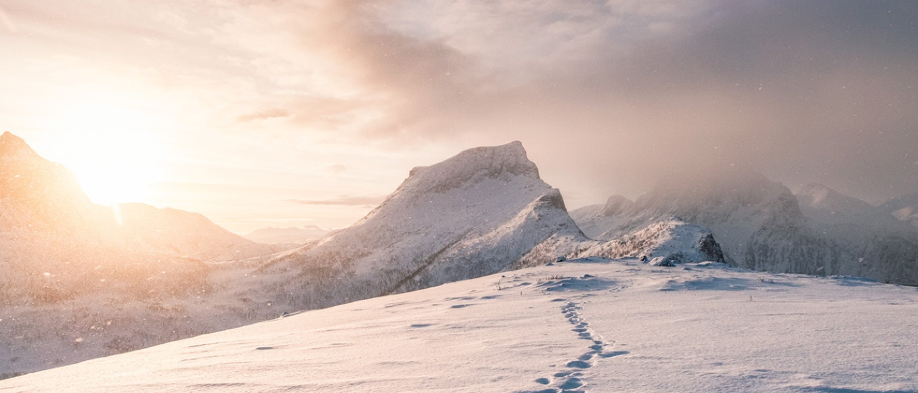 Barents banner image