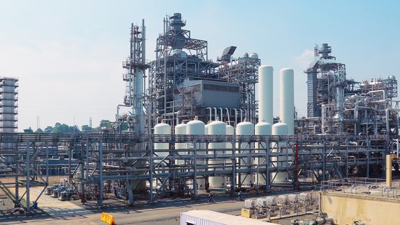 Decorative image for Low Carbon Hydrogen (picture of a plant)