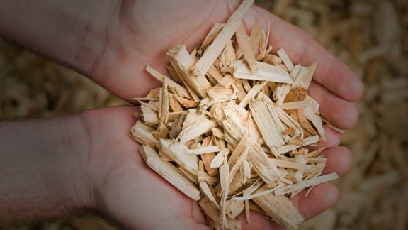 A person holding a handful of wood chips, showcasing fast pyrolysis bio-oil technology