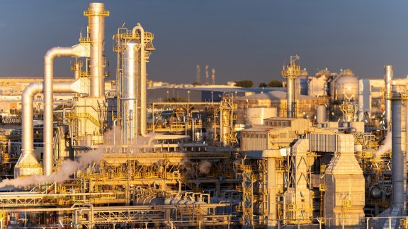 Midor plant