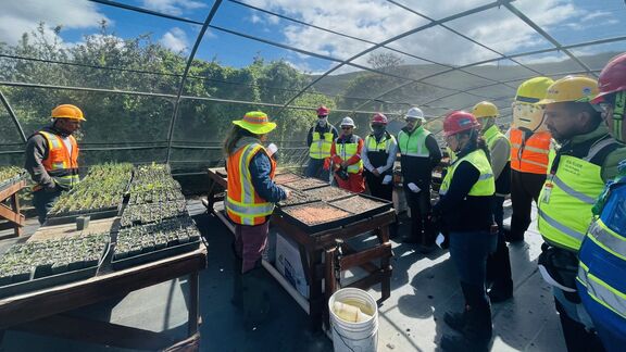 Decorative image for Technip Energies’ global volunteering program